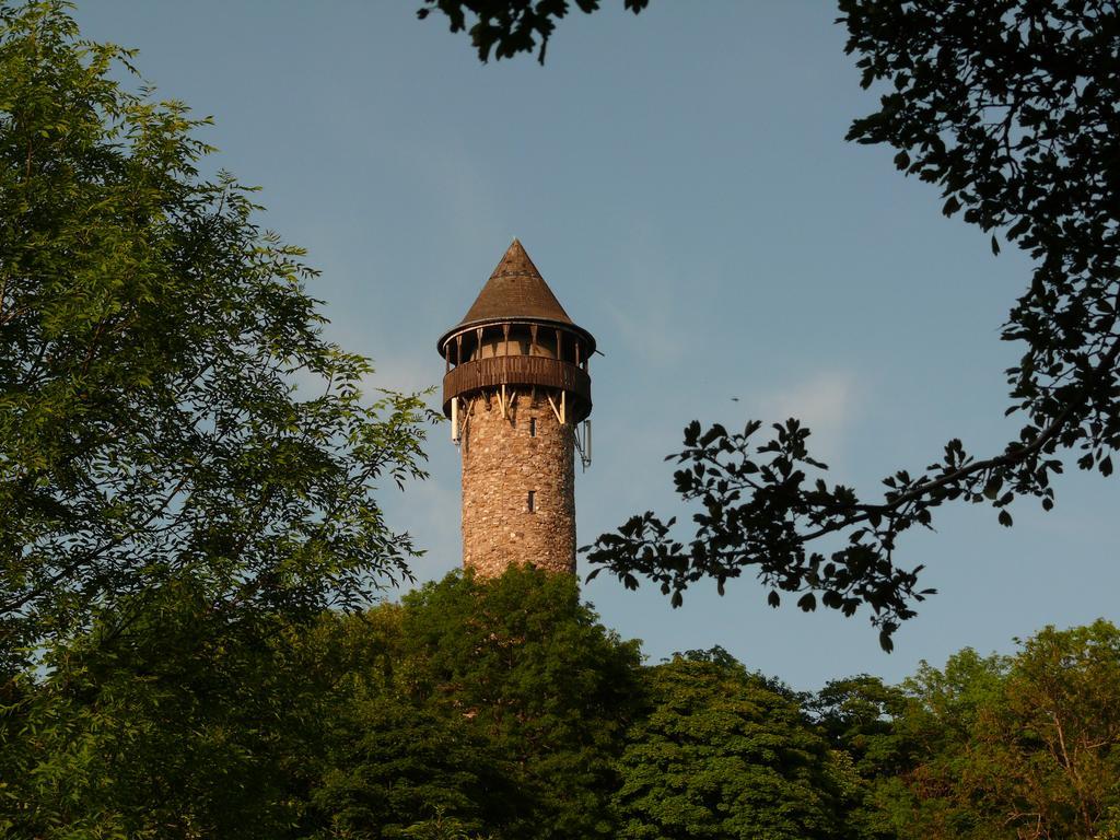 דירות Sensweiler Haus Kolmesfeld מראה חיצוני תמונה